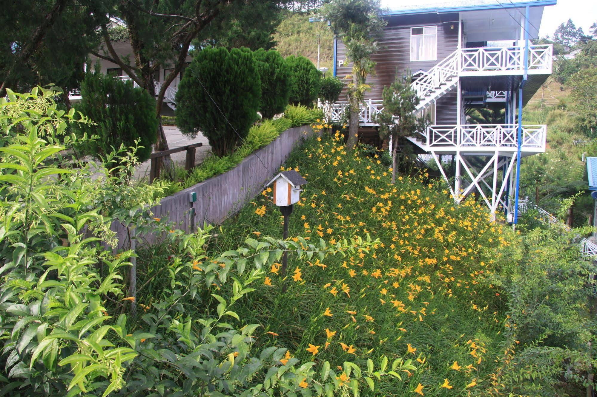 Kinabalu Pine Resort Kundasang Bagian luar foto